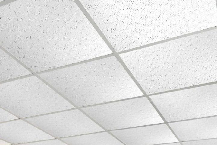 gyptile