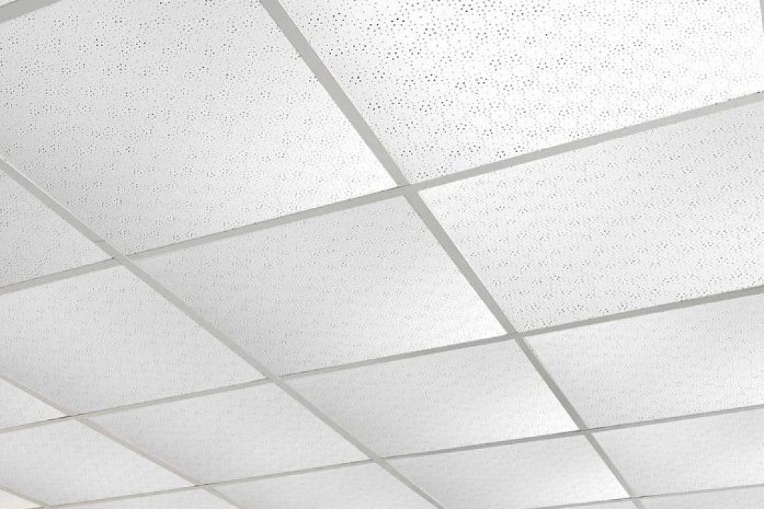gyptile